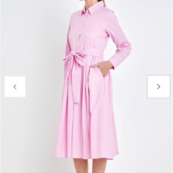 English Factory Striped Shirt Maxi Dress size 2X pink plus size NWTs Anthro - Picture 2 of 12